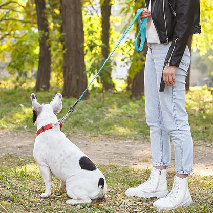 Dogline Biothane Waterproof Dog Leash Strong Coated Nylon Webbing with Black Hardware Odor-Proof Easy to Clean High Performance for Small or Large Dogs Made in USA 4 or 6 ft Lead, Sky Blue