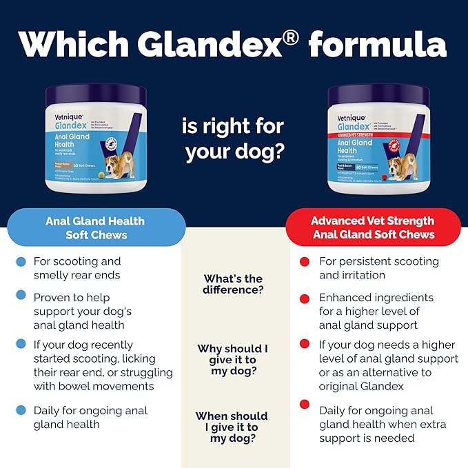 Vetnique Glandex Anal Gland Soft Chew Treats with Pumpkin for Dogs Digestive Enzymes, Probiotics Fiber Supplement for Dogs Boot The Scoot (Bacon Flavor Chews, 30 Count)