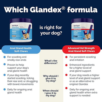 Vetnique Glandex Anal Gland Soft Chew Treats with Pumpkin for Dogs Digestive Enzymes, Probiotics Fiber Supplement for Dogs Boot The Scoot (Bacon Flavor Chews, 30 Count)