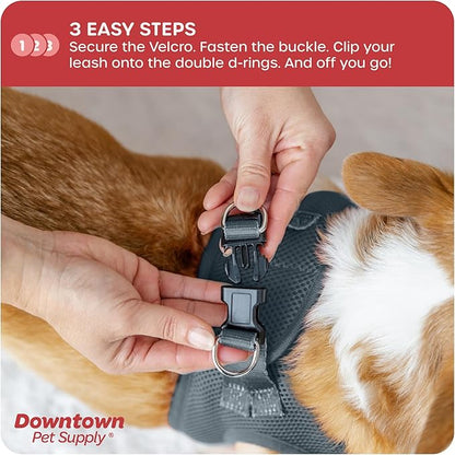 Downtown Pet Supply Step in Dog Harness for Small Dogs No Pull, X-Small, Titanium - Adjustable Harness with Padded Mesh Fabric and Reflective Trim - Buckle Strap Harness for Dogs
