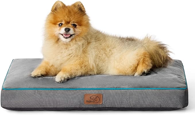 Bedsure Washable Dog Bed for Small Dogs - 2.5 Inch Thicken Up to 30lbs Pet Mat Pillows with Removable Washable Cover, Grey