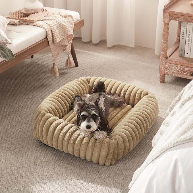 FURTIME Dog Bed for Small Dogs, Washable Orthopedic Dog Bed with Removable Cover, Rectangle Soft Calming Sleeping Puppy Bed Durable Pet Cuddler with Anti-Slip Bottom, Beige, S (20"x19"x6")