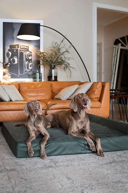NOAH & PAW Giant Dog Bed XXL 55x45x9.5 Inch, Orthopedic Dog Beds, Eggshell Memory Foam Infused with Cooling Gel, Waterproof, Machine Washable, Includes Inner Cover (Faux Leather)