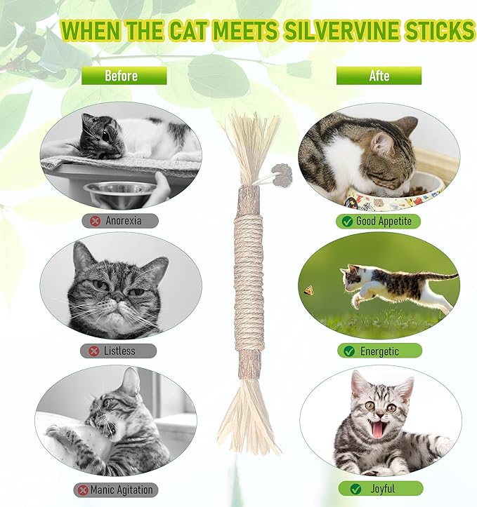 GBSYU 5 Pack Silvervine Cat Toy, Silvervines Sticks Cat Toys for Indoor Cats, Cat & Kitten Chew Toys for Aggressive Chewers, Cat Dental Toy for Kitten Teeth Cleaning, Matatabi Silvervine for Cats