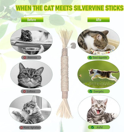 GBSYU 5 Pack Silvervine Cat Toy, Silvervines Sticks Cat Toys for Indoor Cats, Cat & Kitten Chew Toys for Aggressive Chewers, Cat Dental Toy for Kitten Teeth Cleaning, Matatabi Silvervine for Cats