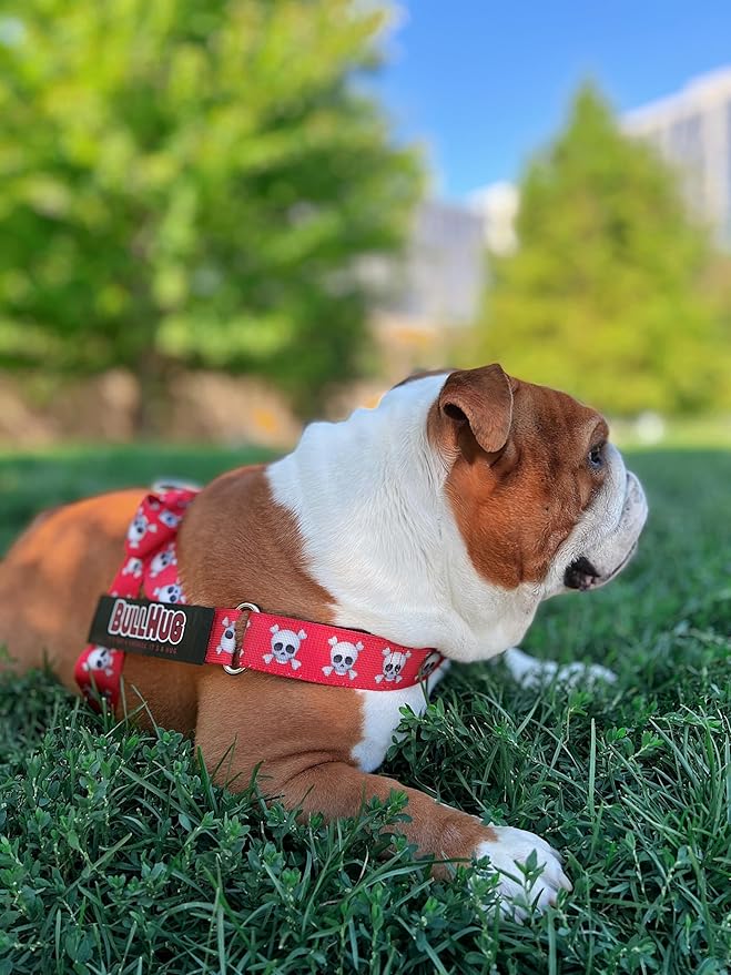 BULLHUG Adjustable Dog Harness– No Pull, No Choke – for English Bulldogs, French Bulldogs, Pugs & Broad-Chested Breeds – Easy, Safe Walks (Pink Skull, Small)