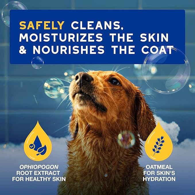 DOUXO® Skin & Coat SPA - Ultra-Safe Oatmeal Dog Shampoo, 16 fl oz, Cleans and Deeply Hydrates The Skin, Leaves The Coat Soft and Radiant, Skin-Friendly Formula