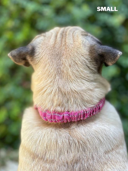 Tuff Pupper Heavy Duty Dog Collar with Handle | Ballistic Nylon Heavy Duty Collar | Padded Reflective Dog Collar with Adjustable Stainless Steel Hardware | Convenient Sizing for All Breeds