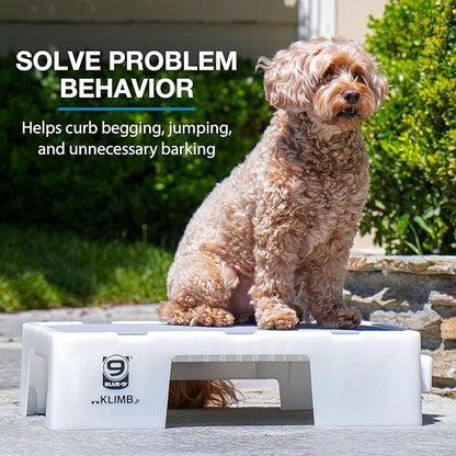 Blue-9 KLIMB Jr. Professionally Designed Dog Training Platform and DIY Guide for Behavior Basics, Made in The USA, White