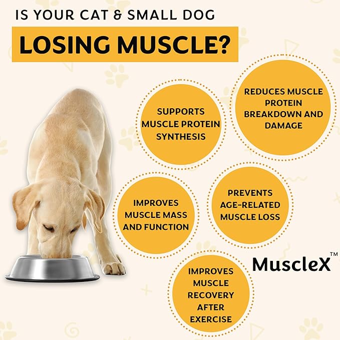 MuscleX™ Canine Muscle Formula Cats & Small Dogs with 300 mg CaHMB & Vitamin D3 - Natural Muscl Building Formula-Helps Reduce Muscle Loss Due to Normal Aging & Improves Recovery from Injury(180 Caps)