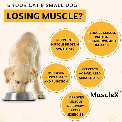 MuscleX™ Canine Muscle Formula Cats & Small Dogs with 300 mg CaHMB & Vitamin D3 - Natural Muscl Building Formula-Helps Reduce Muscle Loss Due to Normal Aging & Improves Recovery from Injury(180 Caps)