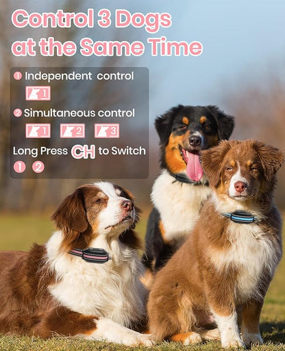 2 Dogs Bark Collar with Remote, 2-in-1 Bark and Shock Collar Combo, 3300Ft Dog Training Collar 2 Pack - Auto Anti Bark/Beep/Vibration/Shock, IP67 Smart E-Collar with 5 Adjustable Levels of Sensitivity