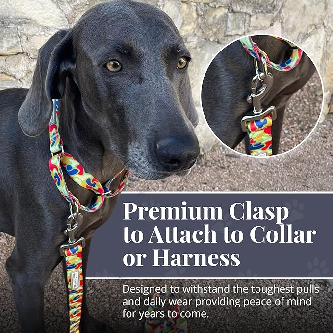 Lucky Love Dog Leash, Pattern Oscar Dog Leash, Medium, Durable & Long Lasting (Oscar, Large)
