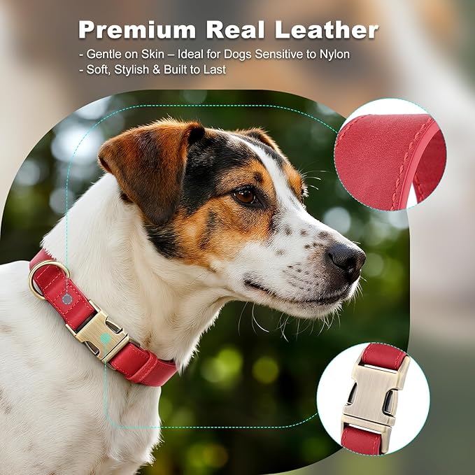Plutus Pet Genuine Leather Dog Collar – Adjustable Pet Collar with Quick Release Metal Buckle, Soft Real Leather for Small Medium Large Dogs, Heavy Duty & Skin-Friendly (Red, S)