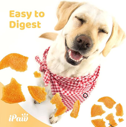 iPaw Chicken Chips Dog Treats for Puppy Training, All Natural Human Grade Dog Treat, Hypoallergenic, Easy to Digest (Chicken Chips), 2 Packs