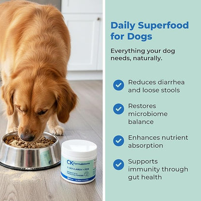 CK Formulations | S boulardii + FOS for Dogs and Cats | Probiotic and Prebiotic Powder | Support Gut Health, Diarrhea | 6 Billion CFU | 60g