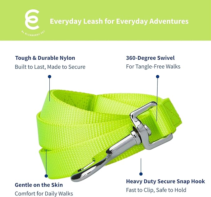 Blueberry Pet Essentials Highlighter Yellow Dog Leash for Large - 4' * 1" Dogs | Heavy Duty Nylon Lead | Lightweight Puppy & Cat Leash for Walking & Training