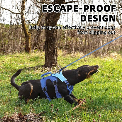 PUPTECK Escape Proof Dog Harness and Leash Set Upgraded No Pull Reflective Dog Vest with Lift Handle, Easy Control Pet Harness for Medium Large Dogs Training Walking Running, Blue, M