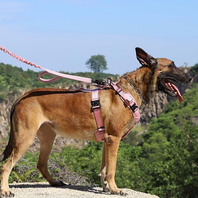 ICEFANG Dog Strap Harness with All-Metal Hardware,for Medium Sized Dog,K9 Vest,Y-Shape Soft Padding,Adjustable Pet Harness,No-Pull Front Leash Clip (Medium (Pack of 1), Pink)