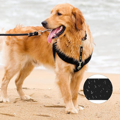 PetBonus Dog Collar Safety Clip, Waterproof Backup Safety Strap for Dog Harness to Prong Collar, Odor Proof Double Ended Clasp Leash Connector for Training Walking (Black)