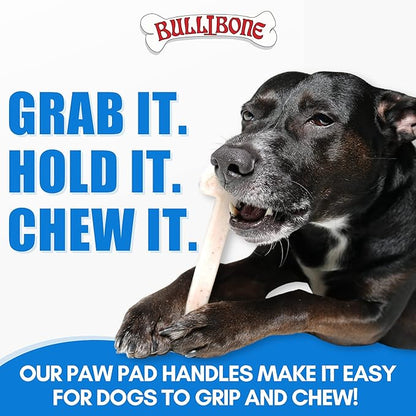 Bullibone Nylon Dog Chew Toy for Aggressive Chewers - Dental Hygiene Bone with Bacon Flavor, Durable Tough Chew Toys for Small Dogs, Indestructible Dog Bone - 2 Pack