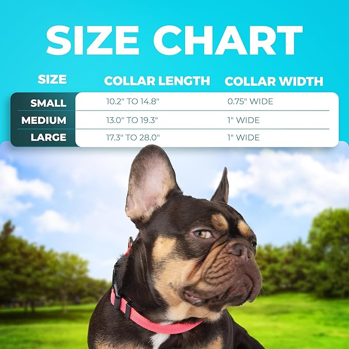 BLAZIN Reflective Dog Collar - Vibrant Color for Day and Night - Soft Neoprene Padded Collar - Adjustable Sizing -'Color Me Happy!' Dog Collars - Brighter Means Safer - (Medium, Pink)