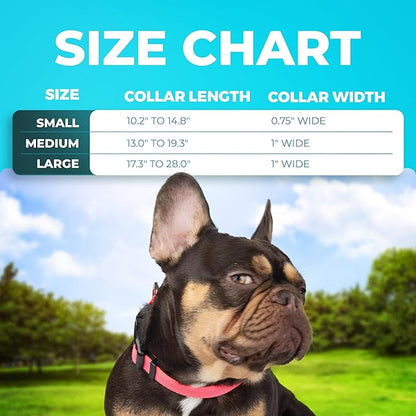 BLAZIN Reflective Dog Collar - Vibrant Color for Day and Night - Soft Neoprene Padded Collar - Adjustable Sizing -'Color Me Happy!' Dog Collars - Brighter Means Safer - (Small, Pink)