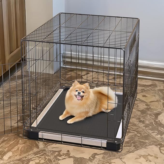 FXW TitanNest Chew-Proof Elevated Dog Bed, Raised Cot for Indoor/Outdoor/Camping Use, Durable & Washable Padded Pet Bed for Extra-Small Dogs, 29.0" L x 18.0" W x 4.5" H, Black
