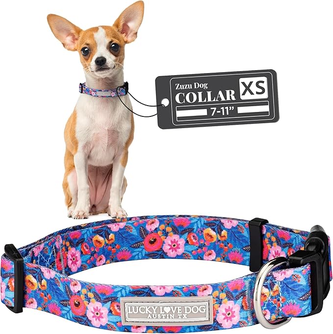 Lucky Love Dog - Adjustable Dog Collar with Easy Click Buckle for Small Dogs, Durable, & Comfortable Collar for Male & Female Dogs, Pet Collar for Puppies & Adult Dogs - Zuzu, XS