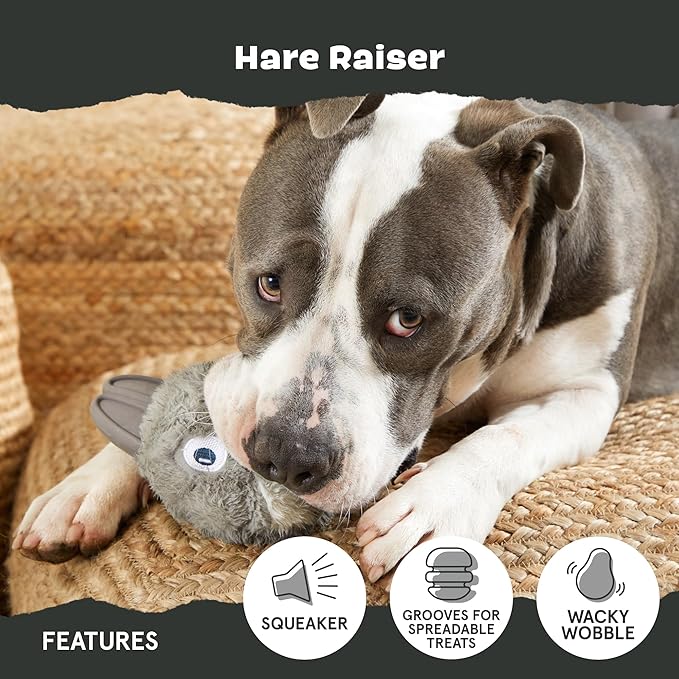 Barkbox Super Chewer Tough Dog Chew Toys for Aggressive Chewers, Plush 2 Toys in 1 (Hare Raiser - Large)