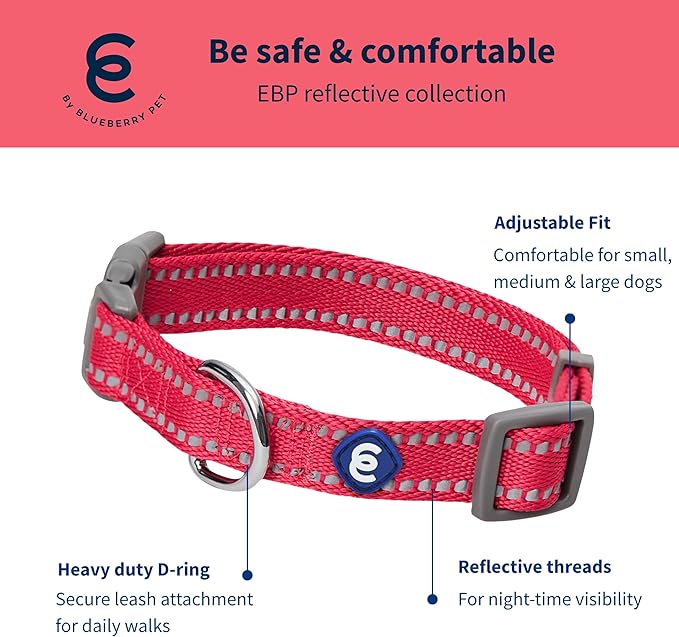 Blueberry Pet Essentials Matching Dog Collar & Leash Set | Pastel Reflective Adjustable Collar with 5 ft Lead for Medium Dogs, Very Berry