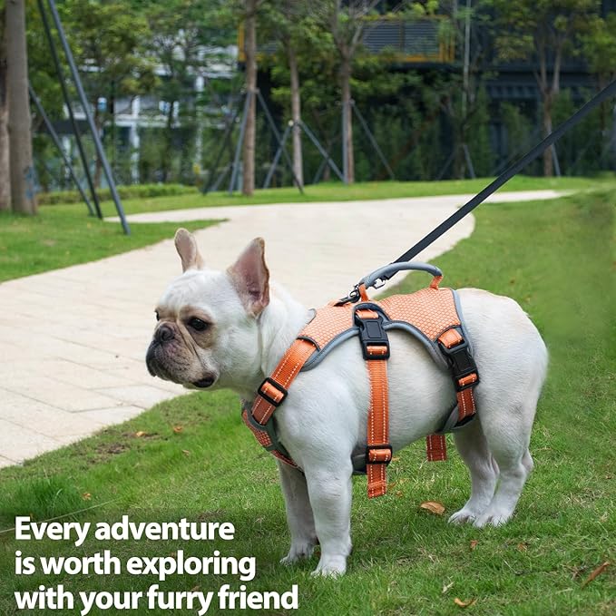 Huntboo Escape Proof Dog Harness, Escape Artist Harness, Reflective Dog Harness with Handle, Durable,Adjustable Vest for Small Medium Large Dogs Walking, Training, and Running Gear(Orange,S)