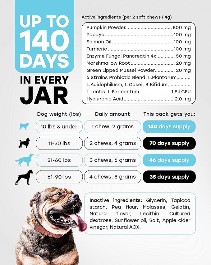 Chewable Dog Probiotics – All-in-One PhD-Endorsed Digestive Enzymes, Prebiotics, Turmeric, Omega-3 & Fiber – Gut, Diarrhea, Itchy Skin & Ear Support – All Ages, Made in USA, 140 Beef Chews