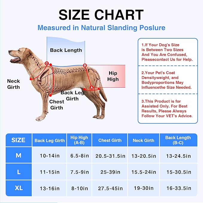 Dog Hip Brace with Removable Hot/Cold Pack for Hip Dysplasia & Mild Rear-Leg Instability, Breathable and Comfortable Support for ACL/Arthritis Recovery, Size M