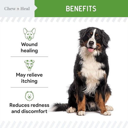 Chew + Heal Labs Hypochlorous Acid Spray for Dogs – 8oz Dog Wound Spray for Cuts, Burns, Sores, Abrasions, and More – Non Toxic and Chemical Free HOCI Wound Care – Made in The USA