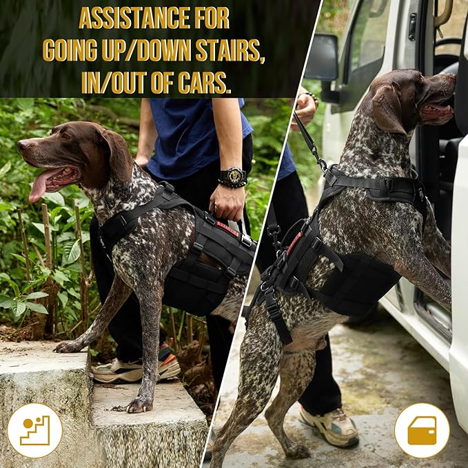 OneTigris Dog Lift Harness for Large Dogs, Dog Hip Support Brace, Full Body Dogs Lifter with Handles Invictus Multifunctional Mobility Assistance Vest for Back Legs (Black, Medium)