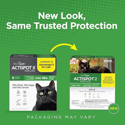 TevraPet Actispot II Flea Treatment for Large Cats 9+ lbs | 6 Doses | Powerful Prevention and Control