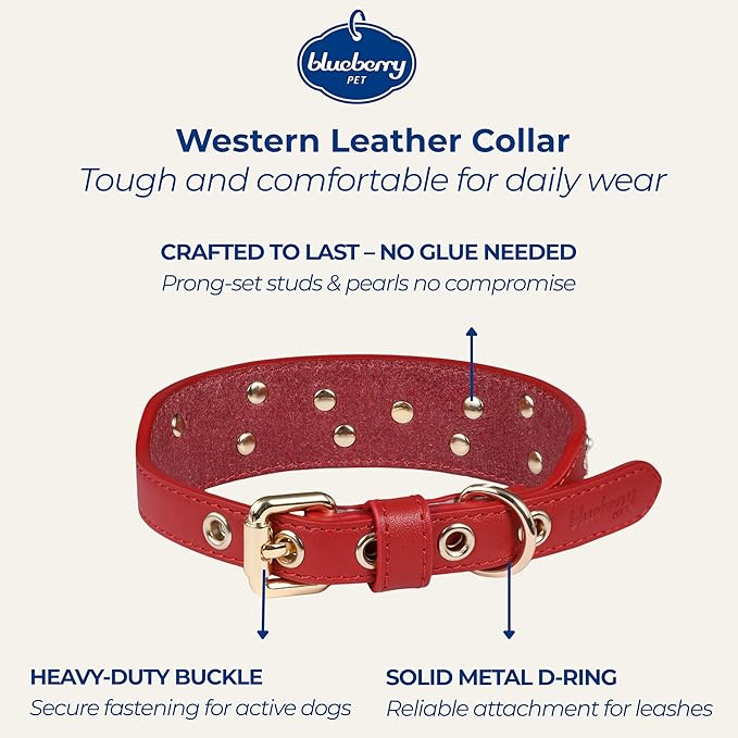 Blueberry Pet Western Leather Dog Collar - Genuine Leather with Floral Embroidery & Pearl Studs Adjustable 12-15 Inch Neck for Small Dogs, Comfortable and Stylish Pet Collar