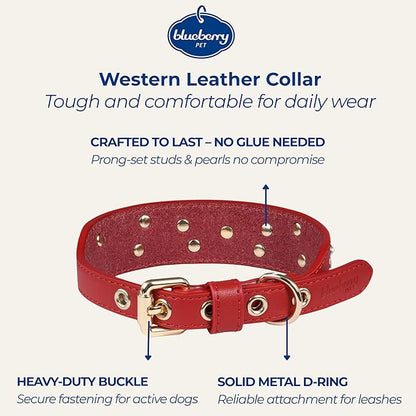 Blueberry Pet Western Leather Dog Collar - Genuine Leather with Floral Embroidery & Pearl Studs Adjustable 12-15 Inch Neck for Small Dogs, Comfortable and Stylish Pet Collar