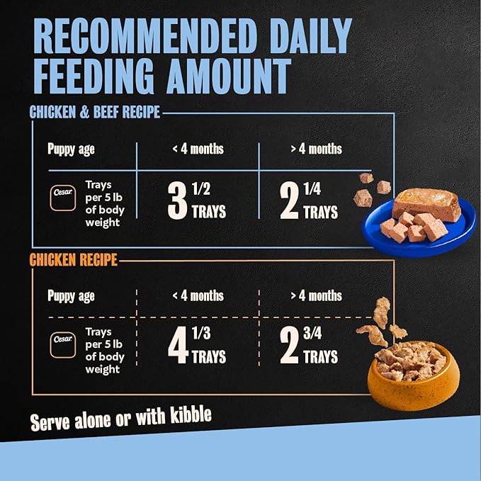 Cesar Puppy Classic Loaf in Sauce and Filets in Gravy Wet Dog Food Variety Pack, Chicken & Beef and Chicken Recipes, 3.5 oz. Easy Peel Trays, Dog Food Toppers, 12 Count (Pack of 2)