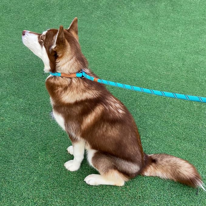 5 FT Slip Lead Dog Leash, Heavy Duty Rope Leash for Small Medium Large Dogs, No Pull Training Lead with Reflective Thread, Strong Comfortable Loop Leash (Teal Stripe, Large(1/2"))