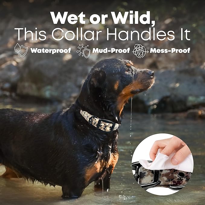 Regal Dog Products Waterproof Camo Hunting Dog Collar with Black Hardware | for Small, Medium, Large, or XL Dogs (Medium)