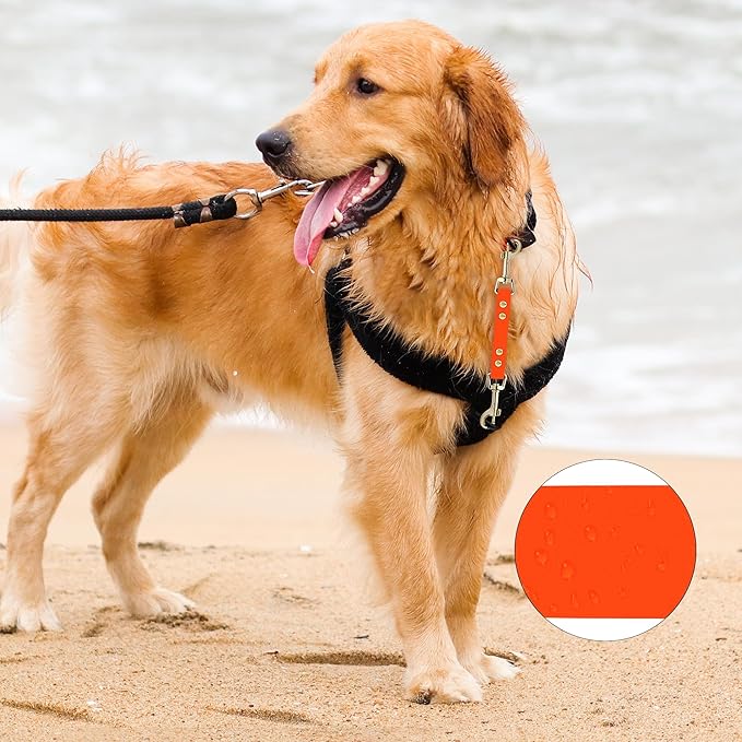 PetBonus Dog Collar Safety Clip, Waterproof Backup Safety Strap for Dog Harness to Prong Collar, Odor Proof Double Ended Clasp Leash Connector for Training Walking (Orange)