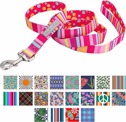 Lucky Love Dog Leash - Colorful Stripes, Yellow, Pink, Blue - Cute Female Dog Leash (Large, Molly)
