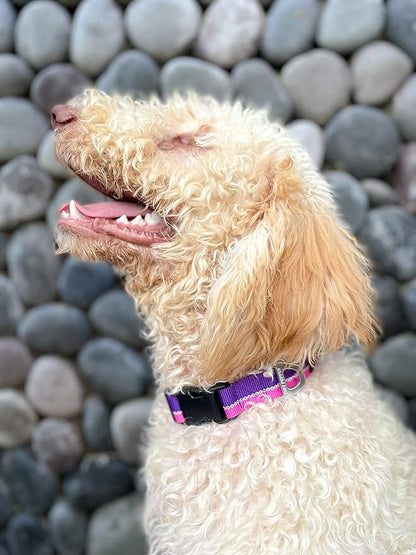 Tuff Pupper Heavy Duty Dog Collar | Tough Dogs Collar | Reflective Collars with Aluminum D-Ring Leash Clip | Separate ID Tag Attachment Keeps Engraved Dog Tags Quiet | Easy Sizing for All Breeds