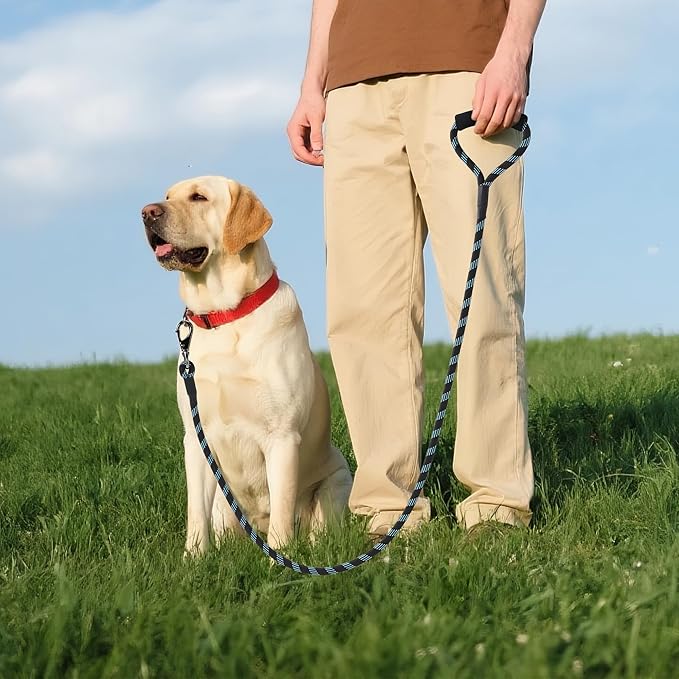 Mile High Life Reflective Dog Leash, with Comfortable Padded Handle, Black Nylon Rope Leash with Steel Tips, Heavy Duty 4 Feet Pet Leashes (Black Blue,48 Inches)