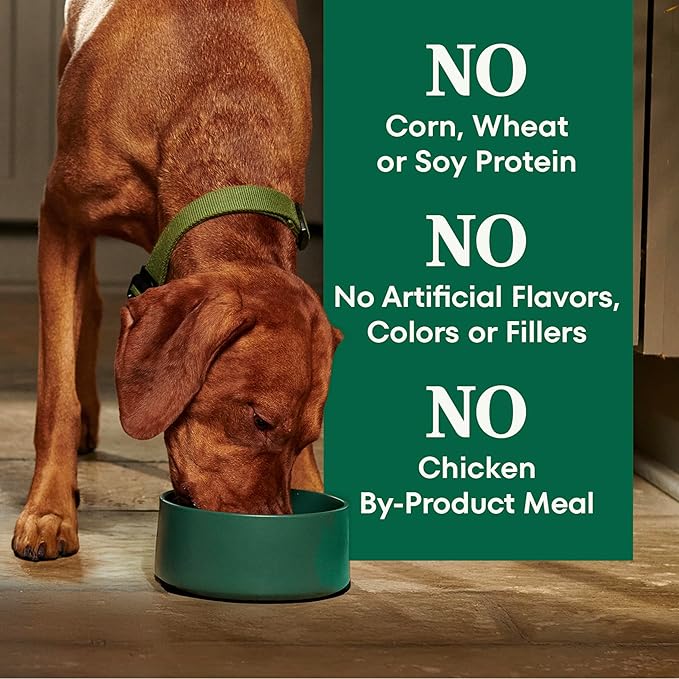 Nutro Natural Choice Adult Dry Dog Food, Chicken & Brown Rice Recipe, 5 lb. Bag