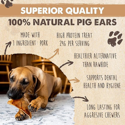 Mighty Paw Half Pig Ears for Dogs - All Natural, Single Ingredient Treats. Better Than Rawhide Pet Snacks for Small and Large/Medium Pets. Pigs Ear Dogs Chews (12 Pack)