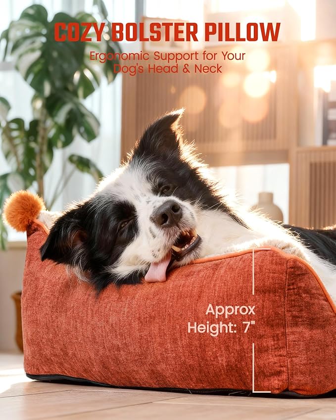Pawccoli Orthopedic Dog Bed for Medium Dogs,Waterproof Supportive Egg Crate Foam Medium Dog Couch, Pet Bed with with Removable Bolsters, Washable Cover Non-Slip Bottom, (30''×21''×7'')