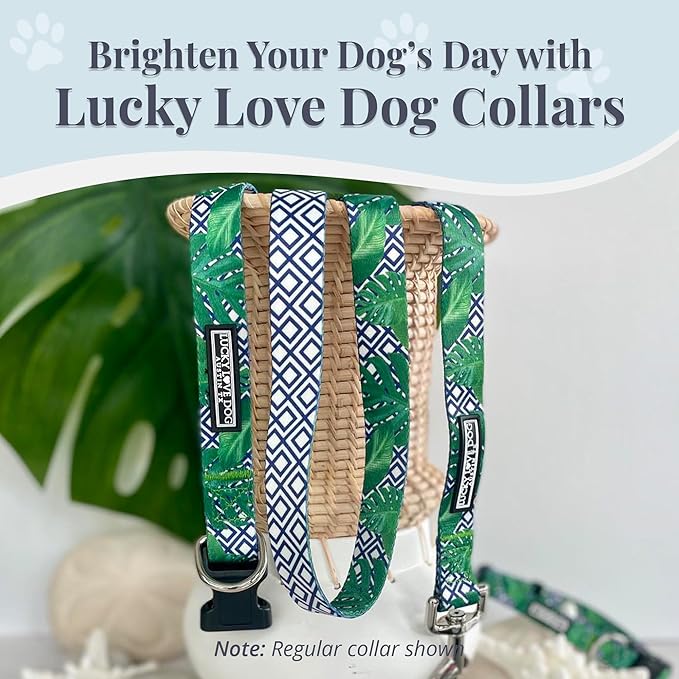 Lucky Love Dog Collar and Leash Set, Beautiful & Vivid Patterns, Easy On & Off Clasp Accessory (Blue Laguna, M Combo)